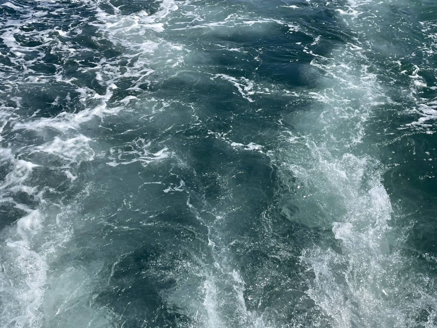 西の対馬海流と東の親潮が交差する函館の海